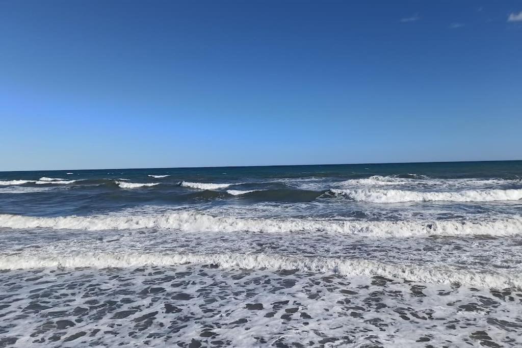 Apartamento Piso En Playa De Gandia! Exterior foto